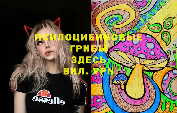 бошки Алексин