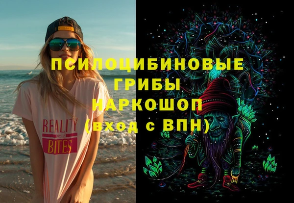 бошки Алексин
